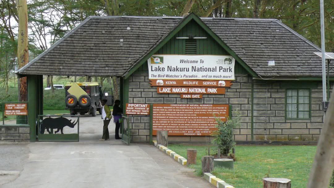 KWS issues update: Lake Nakuru closed to walk-in visitors on September 27