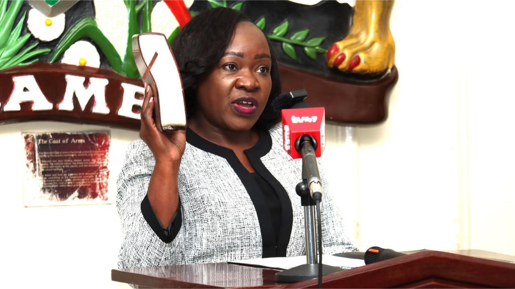 New KNCHR boss Claris Ogangah pledges to restore public trust