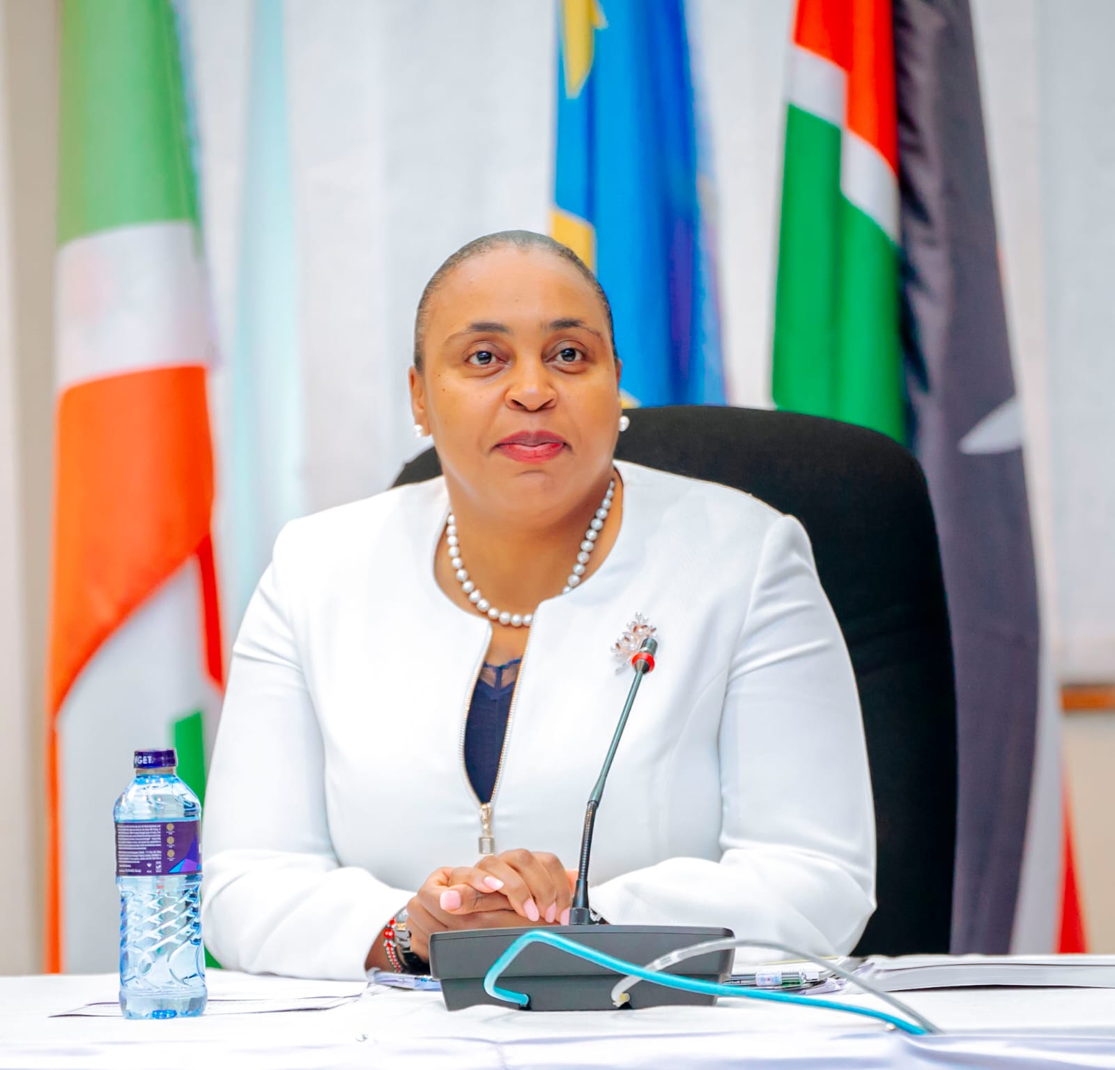 No Kenyan businesses in Tanzania will be affected by new licensing order- PS Karugu
