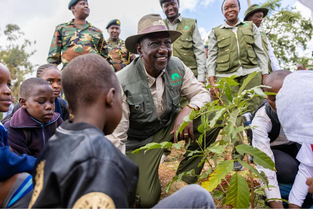 PHOTOS: From State House to the earth: Ruto's tree planting push on Mazingira Day