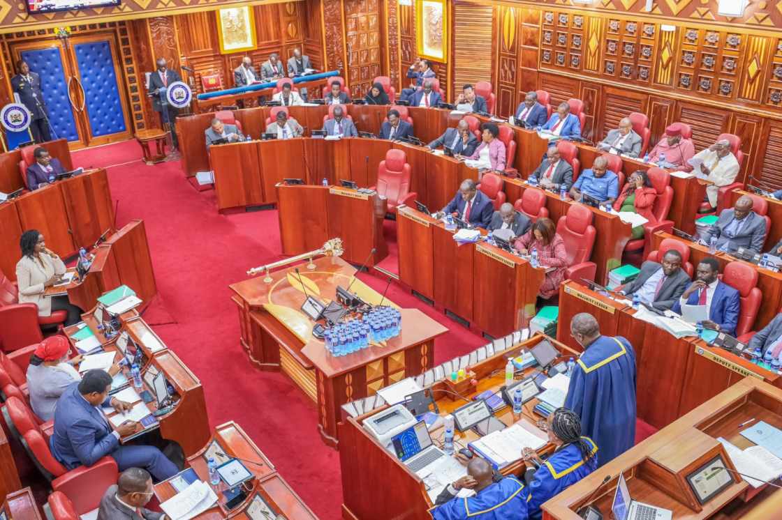 Senate dismisses claims on alleged bill to extend term limits