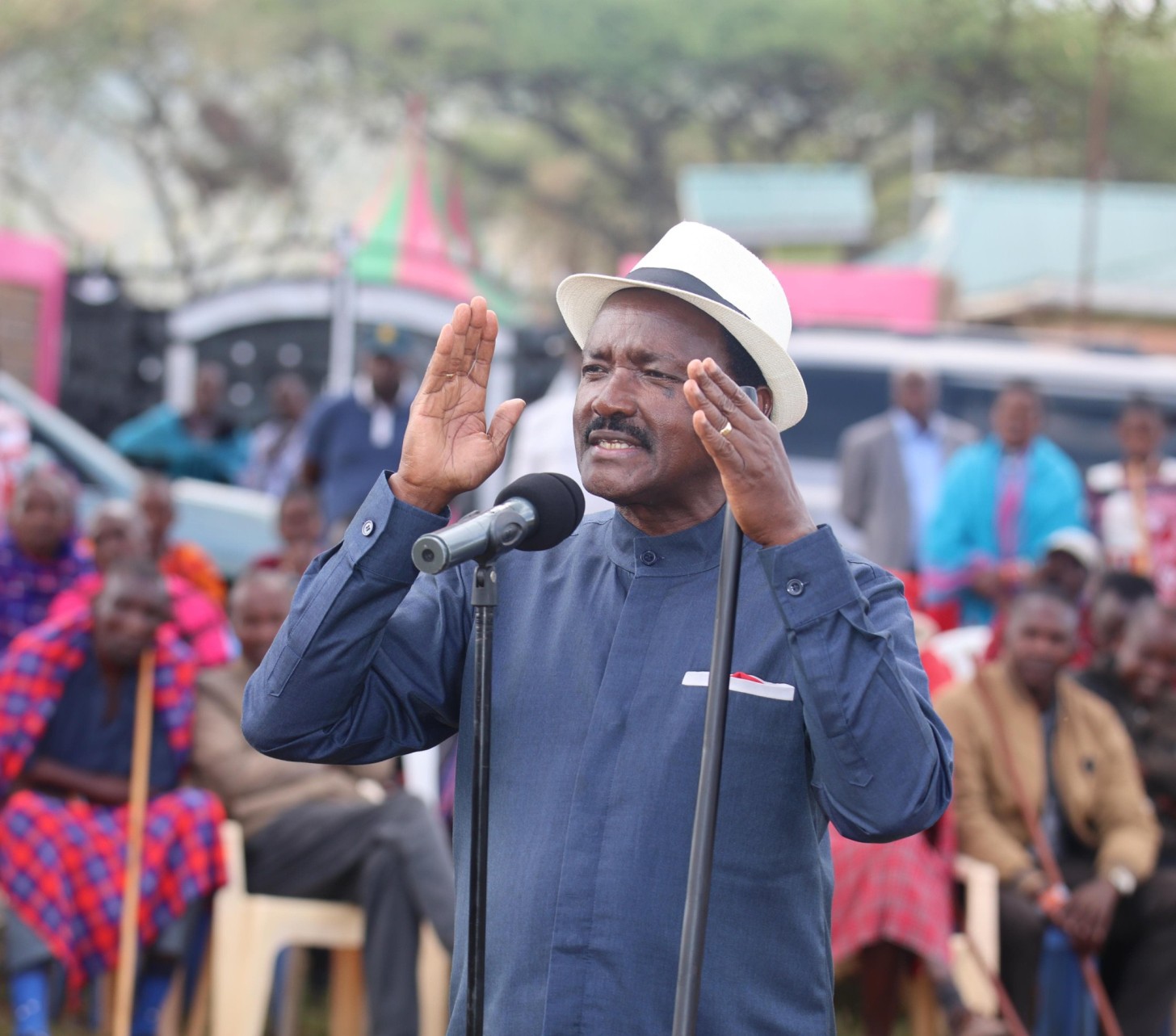 Kalonzo writes to Raila over NADCO report implementation