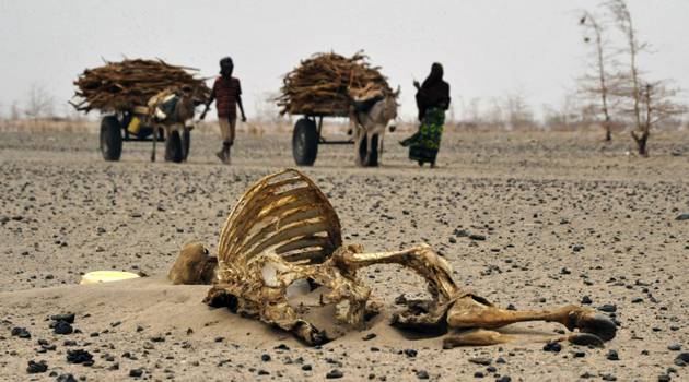 Kenyans join global call for climate accountability