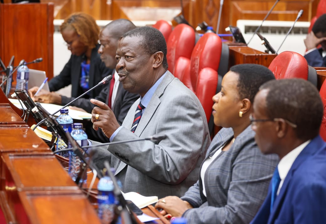 Kenya asks Tanzania for equal work permit treatment, Mudavadi tells MPs