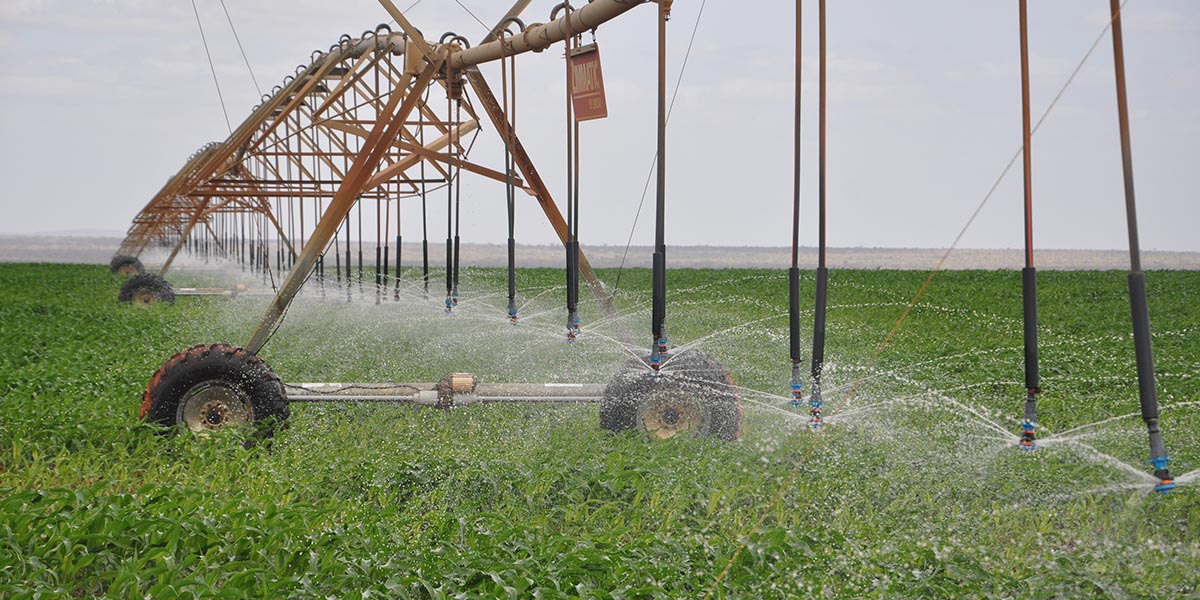 Ruto government banks on private investors for power and irrigation boost