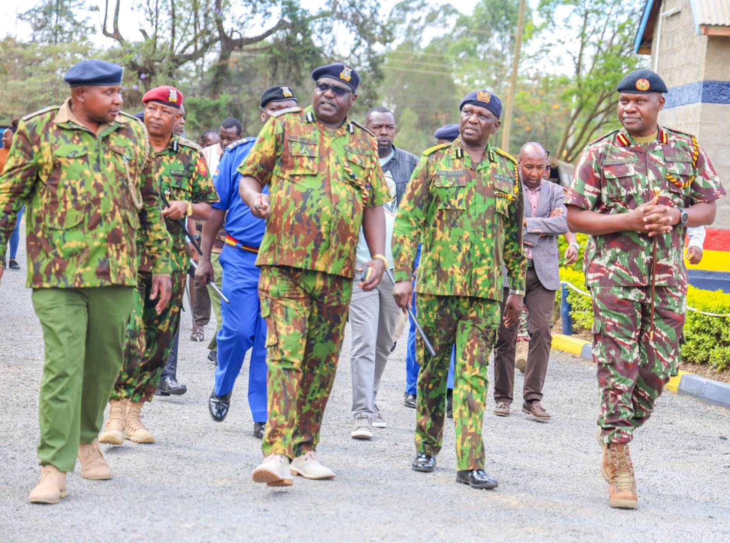 Kenya–Ethiopia joint security operation recovers eight stolen cattle