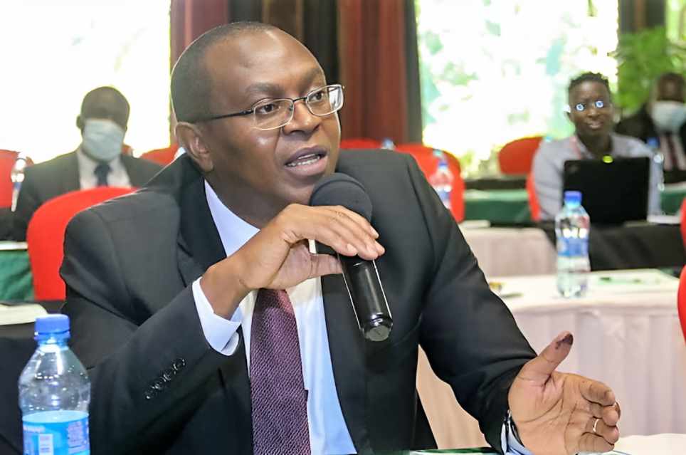 KNEC opens nominations for Arts and Sports Science pathway in senior school