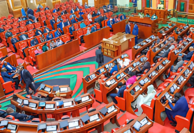 IEBC: Why you can't recall your MP now
