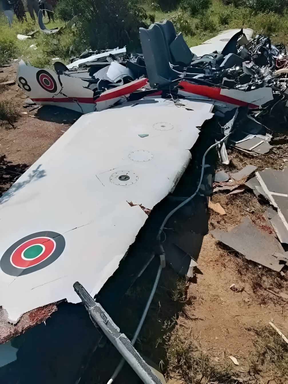 KDF confirms deaths of two pilots in Kwale crash