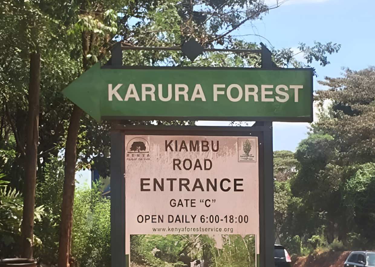 KFS looking into alleged python sighting in Karura Forest